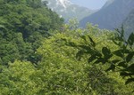 060805-1.JPG
