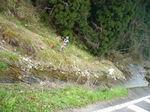 080323-2.jpg