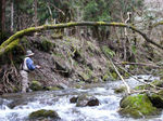 080323-4.jpg