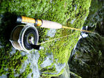 080601-2.jpg