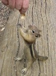 20080714-4.JPG